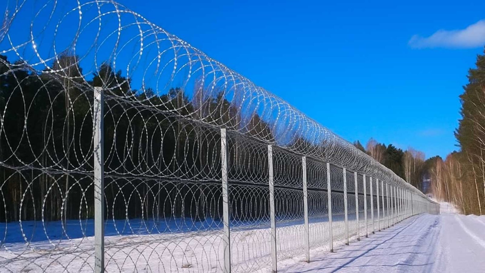 Штрипс для изготовления егозы: технические требования, стали и стандарты от производителя Loveks-K